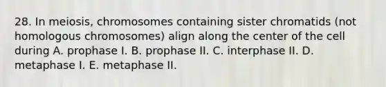 28. In meiosis, chromosomes containing sister chromatids (not homologous chromosomes) align along the center of the cell during A. prophase I. B. prophase II. C. interphase II. D. metaphase I. E. metaphase II.