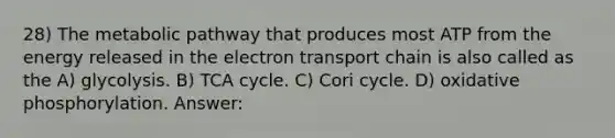 28) The metabolic pathway that produces most ATP from the energy released in the electron transport chain is also called as the A) glycolysis. B) TCA cycle. C) Cori cycle. D) oxidative phosphorylation. Answer: