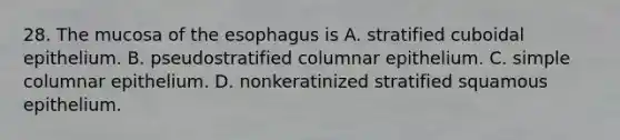 28. The mucosa of <a href='https://www.questionai.com/knowledge/kSjVhaa9qF-the-esophagus' class='anchor-knowledge'>the esophagus</a> is A. stratified cuboidal epithelium. B. pseudostratified columnar epithelium. C. simple columnar epithelium. D. nonkeratinized stratified squamous epithelium.