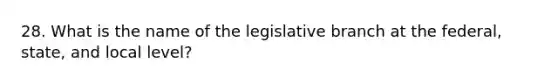 28. What is the name of the legislative branch at the federal, state, and local level?