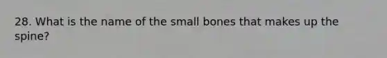 28. What is the name of the small bones that makes up the spine?