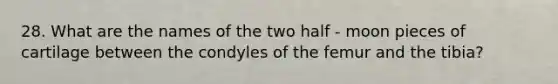 28. What are the names of the two half - moon pieces of cartilage between the condyles of the femur and the tibia?