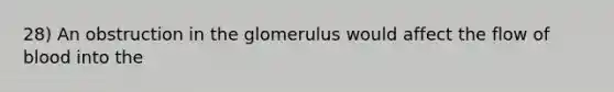 28) An obstruction in the glomerulus would affect the flow of blood into the