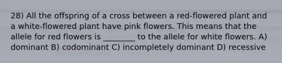 28) All the offspring of a cross between a red-flowered plant and a white-flowered plant have pink flowers. This means that the allele for red flowers is ________ to the allele for white flowers. A) dominant B) codominant C) incompletely dominant D) recessive