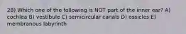 28) Which one of the following is NOT part of the inner ear? A) cochlea B) vestibule C) semicircular canals D) ossicles E) membranous labyrinth