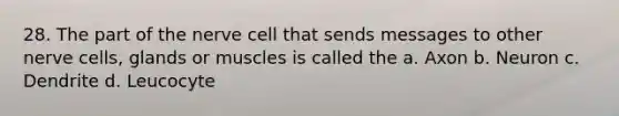 28. The part of the nerve cell that sends messages to other nerve cells, glands or muscles is called the a. Axon b. Neuron c. Dendrite d. Leucocyte