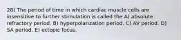 28) The period of time in which cardiac muscle cells are insensitive to further stimulation is called the A) absolute refractory period. B) hyperpolarization period. C) AV period. D) SA period. E) ectopic focus.