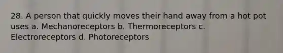 28. A person that quickly moves their hand away from a hot pot uses a. Mechanoreceptors b. Thermoreceptors c. Electroreceptors d. Photoreceptors