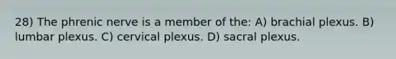 28) The phrenic nerve is a member of the: A) brachial plexus. B) lumbar plexus. C) cervical plexus. D) sacral plexus.