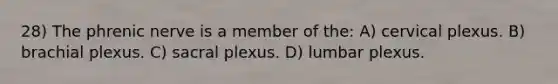 28) The phrenic nerve is a member of the: A) cervical plexus. B) brachial plexus. C) sacral plexus. D) lumbar plexus.