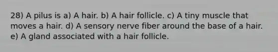 28) A pilus is a) A hair. b) A hair follicle. c) A tiny muscle that moves a hair. d) A sensory nerve fiber around the base of a hair. e) A gland associated with a hair follicle.