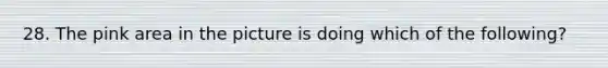 28. The pink area in the picture is doing which of the following?
