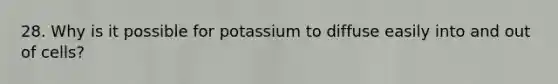 28. Why is it possible for potassium to diffuse easily into and out of cells?