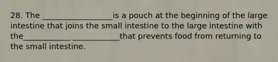 28. The __________________is a pouch at the beginning of the large intestine that joins the small intestine to the large intestine with the____________ ____________that prevents food from returning to the small intestine.