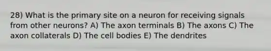 28) What is the primary site on a neuron for receiving signals from other neurons? A) The axon terminals B) The axons C) The axon collaterals D) The cell bodies E) The dendrites