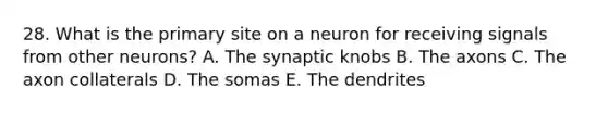 28. What is the primary site on a neuron for receiving signals from other neurons? A. The synaptic knobs B. The axons C. The axon collaterals D. The somas E. The dendrites