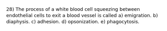 28) The process of a white blood cell squeezing between endothelial cells to exit a blood vessel is called a) emigration. b) diaphysis. c) adhesion. d) opsonization. e) phagocytosis.