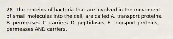 28. The proteins of bacteria that are involved in the movement of small molecules into the cell, are called A. transport proteins. B. permeases. C. carriers. D. peptidases. E. transport proteins, permeases AND carriers.