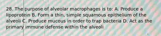 28. The purpose of alveolar macrophages is to: A. Produce a lipoprotein B. Form a thin, simple squamous epithelium of the alveoli C. Produce mucous in order to trap bacteria D. Act as the primary immune defense within the alveoli