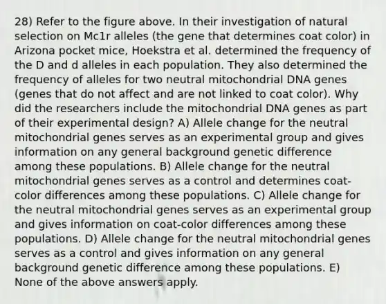 28) Refer to the figure above. In their investigation of natural selection on Mc1r alleles (the gene that determines coat color) in Arizona pocket mice, Hoekstra et al. determined the frequency of the D and d alleles in each population. They also determined the frequency of alleles for two neutral mitochondrial DNA genes (genes that do not affect and are not linked to coat color). Why did the researchers include the mitochondrial DNA genes as part of their experimental design? A) Allele change for the neutral mitochondrial genes serves as an experimental group and gives information on any general background genetic difference among these populations. B) Allele change for the neutral mitochondrial genes serves as a control and determines coat-color differences among these populations. C) Allele change for the neutral mitochondrial genes serves as an experimental group and gives information on coat-color differences among these populations. D) Allele change for the neutral mitochondrial genes serves as a control and gives information on any general background genetic difference among these populations. E) None of the above answers apply.