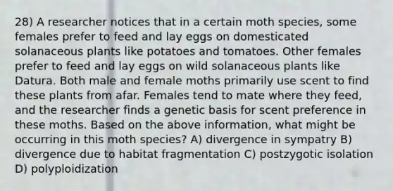 28) A researcher notices that in a certain moth species, some females prefer to feed and lay eggs on domesticated solanaceous plants like potatoes and tomatoes. Other females prefer to feed and lay eggs on wild solanaceous plants like Datura. Both male and female moths primarily use scent to find these plants from afar. Females tend to mate where they feed, and the researcher finds a genetic basis for scent preference in these moths. Based on the above information, what might be occurring in this moth species? A) divergence in sympatry B) divergence due to habitat fragmentation C) postzygotic isolation D) polyploidization