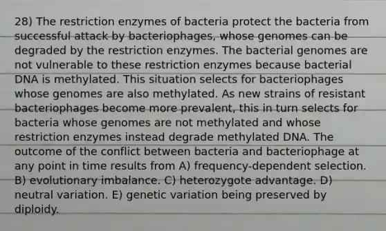 28) The restriction enzymes of bacteria protect the bacteria from successful attack by bacteriophages, whose genomes can be degraded by the restriction enzymes. The bacterial genomes are not vulnerable to these restriction enzymes because bacterial DNA is methylated. This situation selects for bacteriophages whose genomes are also methylated. As new strains of resistant bacteriophages become more prevalent, this in turn selects for bacteria whose genomes are not methylated and whose restriction enzymes instead degrade methylated DNA. The outcome of the conflict between bacteria and bacteriophage at any point in time results from A) frequency-dependent selection. B) evolutionary imbalance. C) heterozygote advantage. D) neutral variation. E) genetic variation being preserved by diploidy.