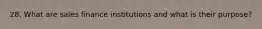 28. What are sales finance institutions and what is their purpose?