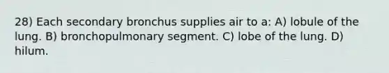 28) Each secondary bronchus supplies air to a: A) lobule of the lung. B) bronchopulmonary segment. C) lobe of the lung. D) hilum.