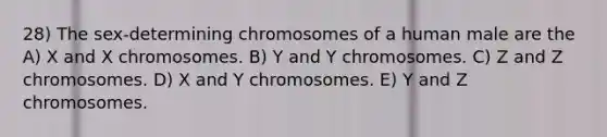 28) The sex-determining chromosomes of a human male are the A) X and X chromosomes. B) Y and Y chromosomes. C) Z and Z chromosomes. D) X and Y chromosomes. E) Y and Z chromosomes.