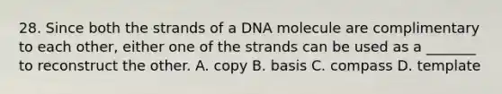 28. Since both the strands of a DNA molecule are complimentary to each other, either one of the strands can be used as a _______ to reconstruct the other. A. copy B. basis C. compass D. template