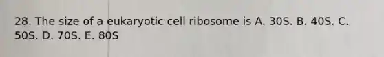 28. The size of a eukaryotic cell ribosome is A. 30S. B. 40S. C. 50S. D. 70S. E. 80S