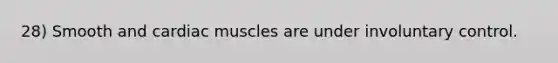 28) Smooth and cardiac muscles are under involuntary control.