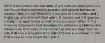 28) The solutions in the two arms of a U-tube are separated by a membrane that is permeable to water and glucose but not to sucrose. Side A is half-filled with a solution of 2 M sucrose and 1 M glucose. Side B is half-filled with 1 M sucrose and 2 M glucose. Initially, the liquid levels on both sides are equal. Which of the following statements best describes the relationship between the solutions on both sides of the U-tube? A) side A is hypertonic to side B B) side A is hypotonic to side B C) side A is isotonic to side B D) side A is more turgid than side B