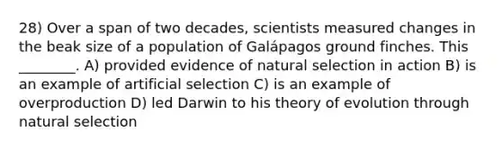 28) Over a span of two decades, scientists measured changes in the beak size of a population of Galápagos ground finches. This ________. A) provided evidence of natural selection in action B) is an example of artificial selection C) is an example of overproduction D) led Darwin to his <a href='https://www.questionai.com/knowledge/kzoSBoiwWp-theory-of-evolution' class='anchor-knowledge'>theory of evolution</a> through natural selection