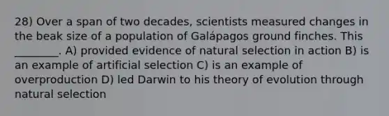 28) Over a span of two decades, scientists measured changes in the beak size of a population of Galápagos ground finches. This ________. A) provided evidence of natural selection in action B) is an example of artificial selection C) is an example of overproduction D) led Darwin to his <a href='https://www.questionai.com/knowledge/kzoSBoiwWp-theory-of-evolution' class='anchor-knowledge'>theory of evolution</a> through natural selection