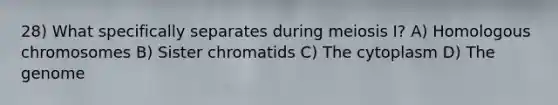 28) What specifically separates during meiosis I? A) Homologous chromosomes B) Sister chromatids C) The cytoplasm D) The genome