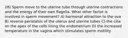 28) Sperm move to the uterine tube through uterine contractions and the energy of their own flagella. What other factor is involved in sperm movement? A) hormonal attraction to the ova B) reverse peristalsis of the uterus and uterine tubes C) the cilia on the apex of the cells lining the endometrium D) the increased temperature in the vagina which stimulates sperm motility