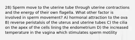 28) Sperm move to the uterine tube through uterine contractions and the energy of their own flagella. What other factor is involved in sperm movement? A) hormonal attraction to the ova B) reverse peristalsis of the uterus and uterine tubes C) the cilia on the apex of the cells lining the endometrium D) the increased temperature in the vagina which stimulates sperm motility