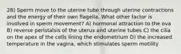 28) Sperm move to the uterine tube through uterine contractions and the energy of their own flagella. What other factor is involved in sperm movement? A) hormonal attraction to the ova B) reverse peristalsis of the uterus and uterine tubes C) the cilia on the apex of the cells lining the endometrium D) the increased temperature in the vagina, which stimulates sperm motility