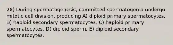 28) During spermatogenesis, committed spermatogonia undergo mitotic cell division, producing A) diploid primary spermatocytes. B) haploid secondary spermatocytes. C) haploid primary spermatocytes. D) diploid sperm. E) diploid secondary spermatocytes.