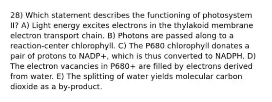 28) Which statement describes the functioning of photosystem II? A) Light energy excites electrons in the thylakoid membrane electron transport chain. B) Photons are passed along to a reaction-center chlorophyll. C) The P680 chlorophyll donates a pair of protons to NADP+, which is thus converted to NADPH. D) The electron vacancies in P680+ are filled by electrons derived from water. E) The splitting of water yields molecular carbon dioxide as a by-product.