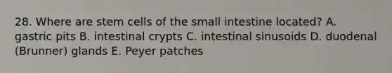 28. Where are stem cells of the small intestine located? A. gastric pits B. intestinal crypts C. intestinal sinusoids D. duodenal (Brunner) glands E. Peyer patches