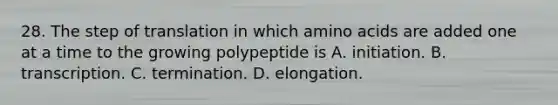 28. The step of translation in which amino acids are added one at a time to the growing polypeptide is A. initiation. B. transcription. C. termination. D. elongation.