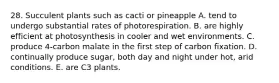 28. Succulent plants such as cacti or pineapple A. tend to undergo substantial rates of photorespiration. B. are highly efficient at photosynthesis in cooler and wet environments. C. produce 4-carbon malate in the first step of carbon fixation. D. continually produce sugar, both day and night under hot, arid conditions. E. are C3 plants.