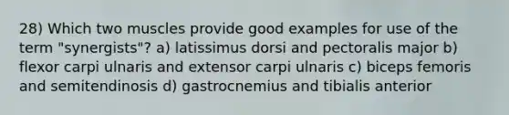 28) Which two muscles provide good examples for use of the term "synergists"? a) latissimus dorsi and pectoralis major b) flexor carpi ulnaris and extensor carpi ulnaris c) biceps femoris and semitendinosis d) gastrocnemius and tibialis anterior