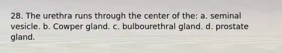 28. The urethra runs through the center of the: a. seminal vesicle. b. Cowper gland. c. bulbourethral gland. d. prostate gland.