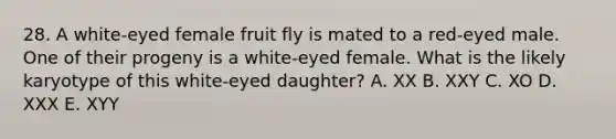 28. A white-eyed female fruit fly is mated to a red-eyed male. One of their progeny is a white-eyed female. What is the likely karyotype of this white-eyed daughter? A. XX B. XXY C. XO D. XXX E. XYY