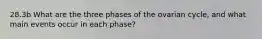 28.3b What are the three phases of the ovarian cycle, and what main events occur in each phase?