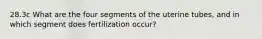 28.3c What are the four segments of the uterine tubes, and in which segment does fertilization occur?