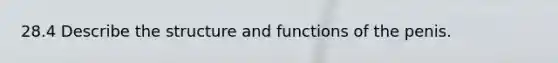 28.4 Describe the structure and functions of the penis.